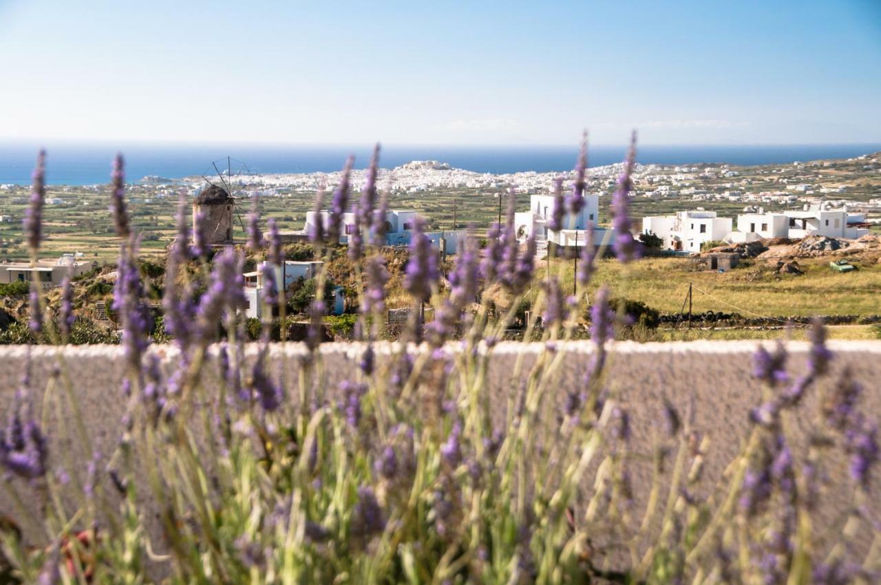Naxos View Apartment Glinado Naxos Ngoại thất bức ảnh